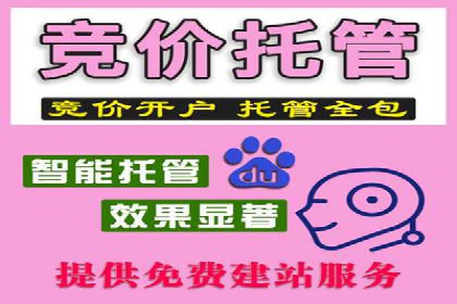 SEM推广竞价案例：助力企业业绩增长